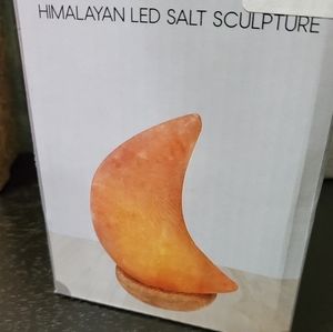 OFFER $25🐿️ HIMALAYAN LED SALT SCULPTURE NEW  Gift Idea - NIB/NWT